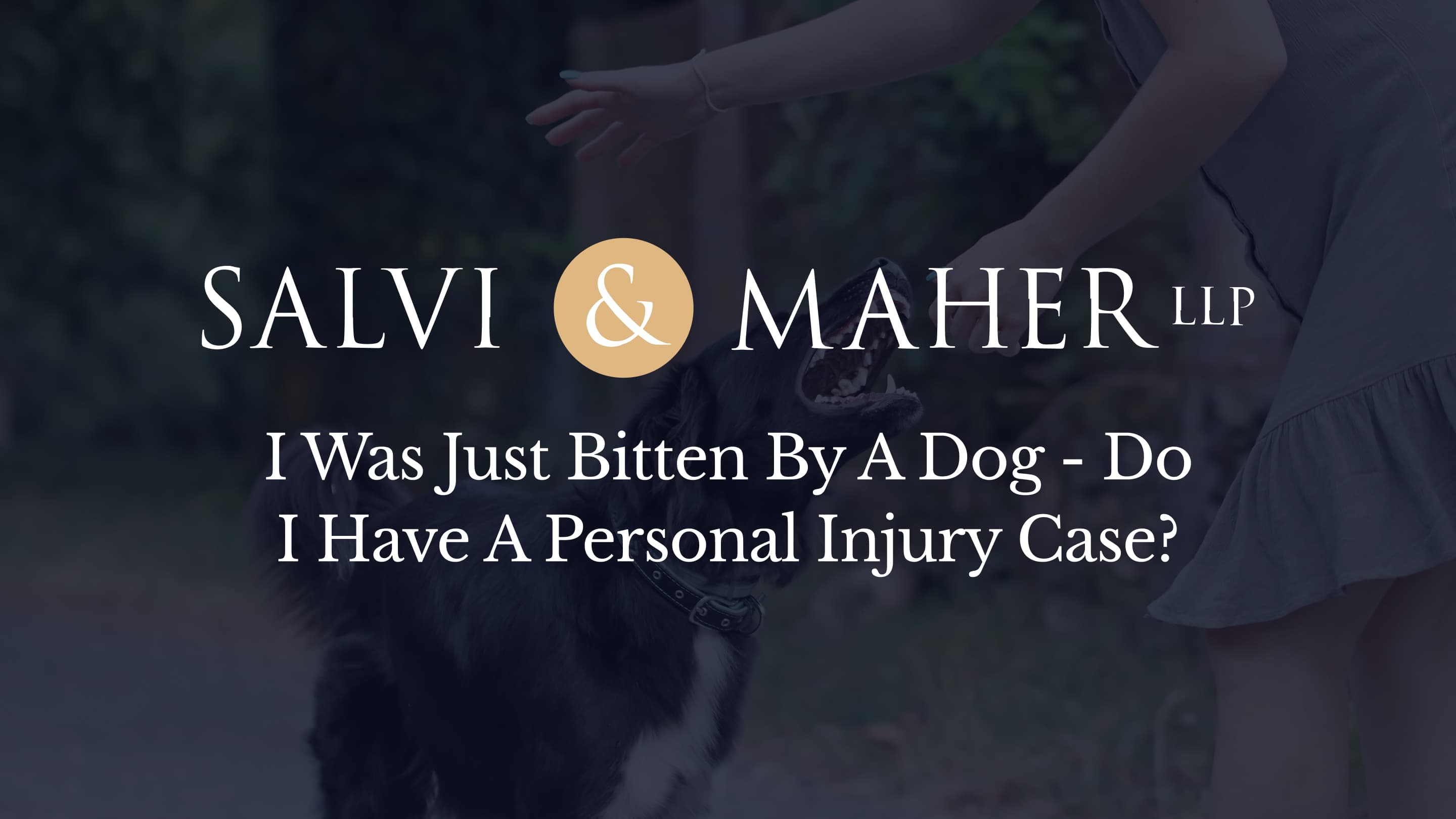 I was just bitten by a dog do I have a personal injury case I was just bitten by a dog do I have a personal injury case