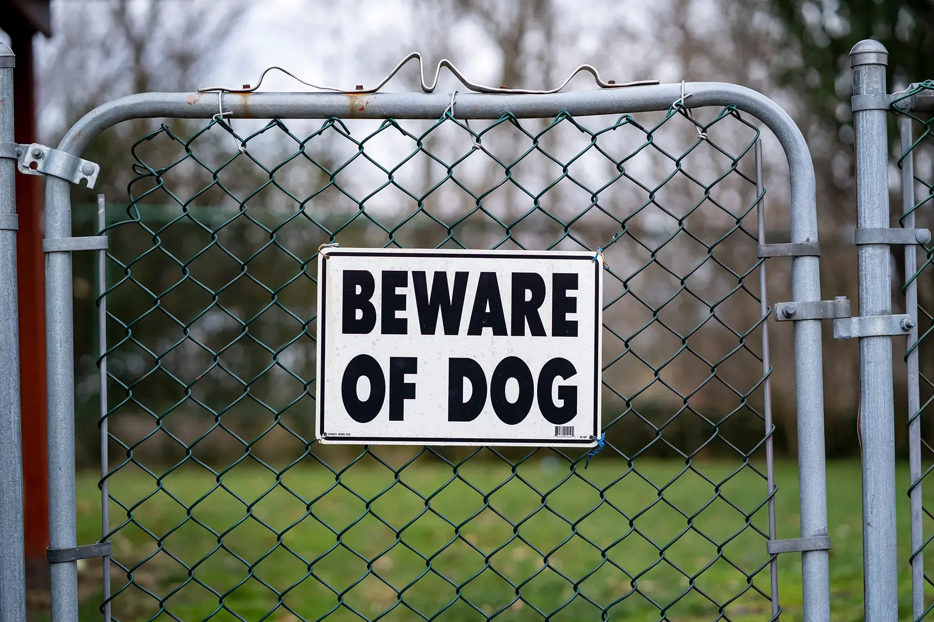 Who Pays The Medical Bills For Injuries Caused By A Dog Attack Who Pays The Medical Bills For Injuries Caused By A Dog Attack