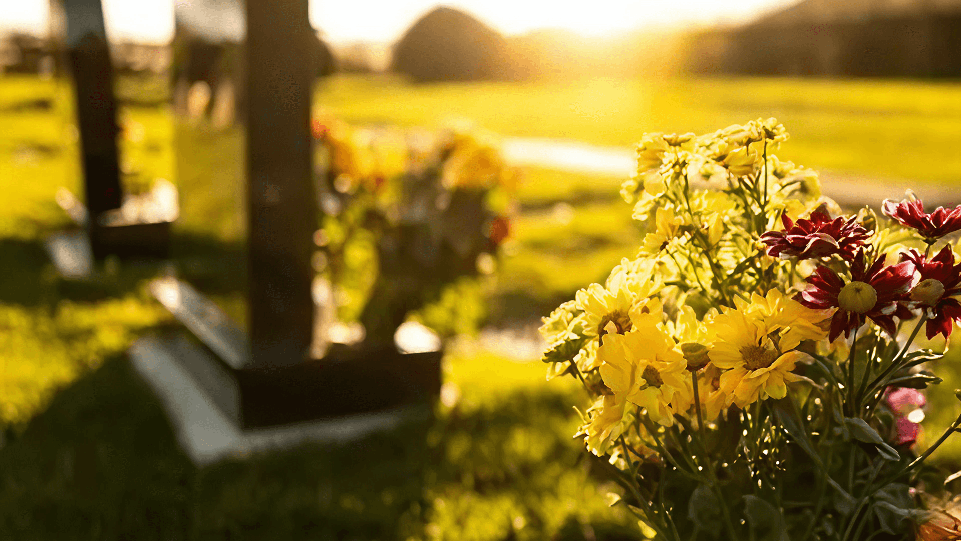 Can I Claim Wrongful Death With Pre Existing Conditions Can I Claim Wrongful Death With Pre Existing Conditions